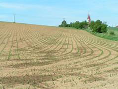 Přesetí/vynechávky mezi vnitřními řádky a souvratí - kukuřice (1) (zobrazeno 103x)